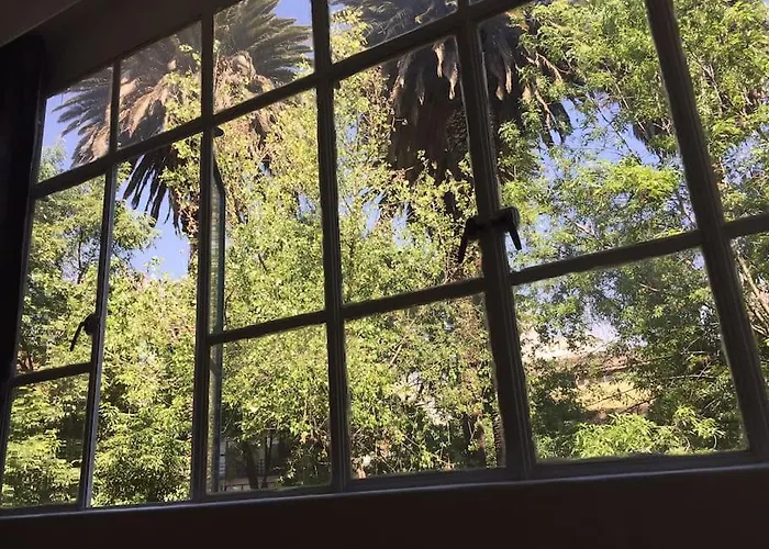 Condesa Caribe Vintage Apartment