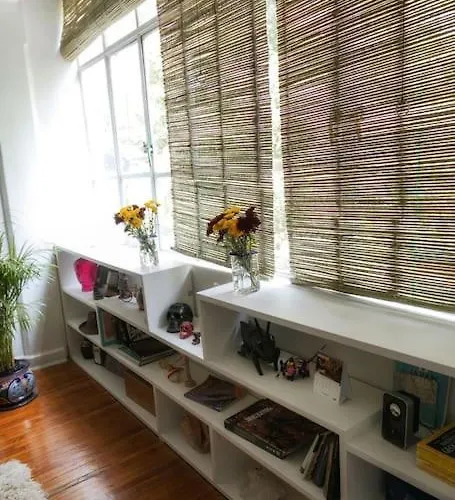 Condesa Caribe Vintage Apartment